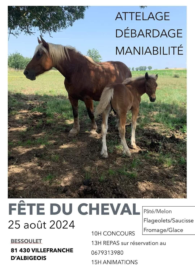 Fête du cheval, à Villefranche d'Albigeois